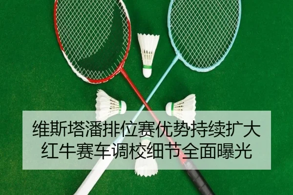 维斯塔潘排位赛优势持续扩大 红牛赛车调校细节全面曝光 - HAOBOSPORTS